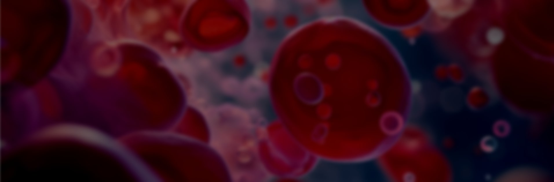 A close-up of blood cells