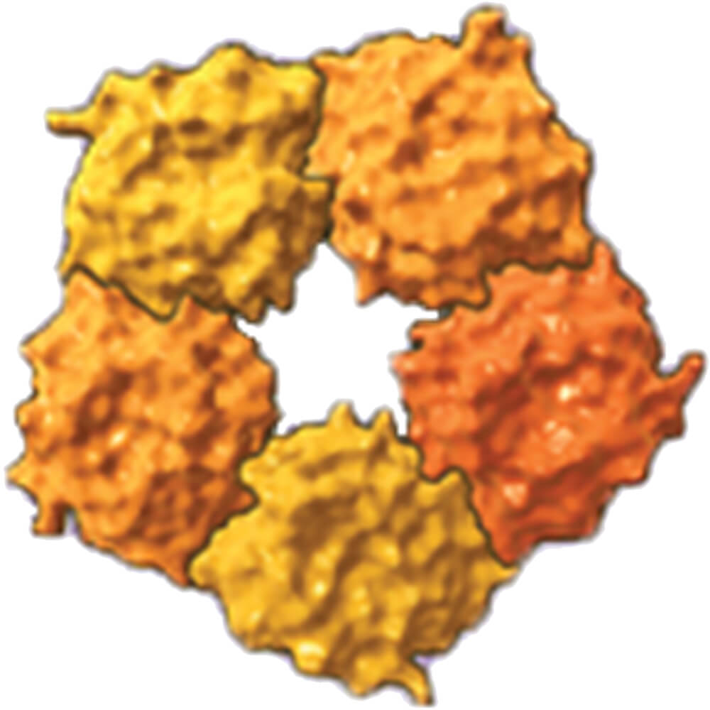 High sensitivity C-reactive protein structure